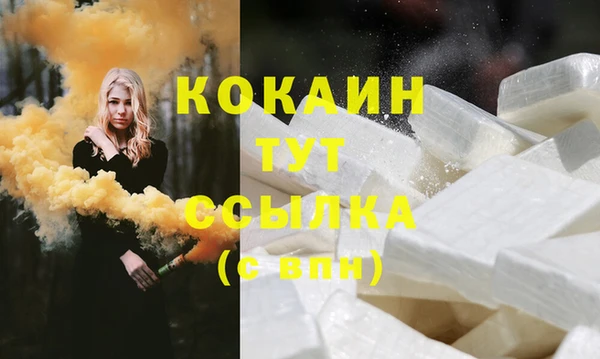 ПСИЛОЦИБИНОВЫЕ ГРИБЫ Вяземский