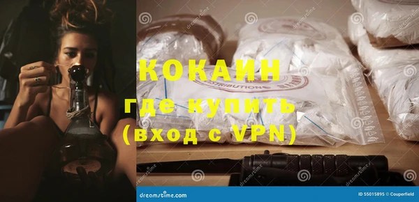 ПСИЛОЦИБИНОВЫЕ ГРИБЫ Вяземский