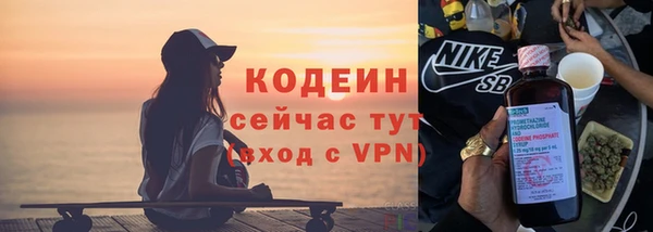 ПСИЛОЦИБИНОВЫЕ ГРИБЫ Вяземский