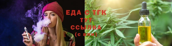 твердый Гусев
