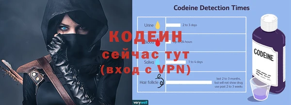 твердый Гусев
