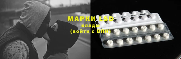 ПСИЛОЦИБИНОВЫЕ ГРИБЫ Вяземский