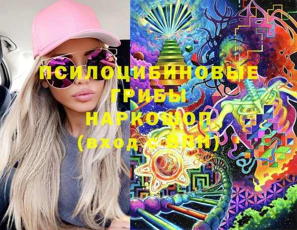 ПСИЛОЦИБИНОВЫЕ ГРИБЫ Вяземский