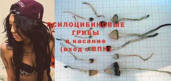 spice Вязники