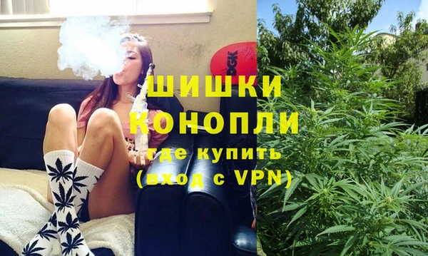 твердый Гусев