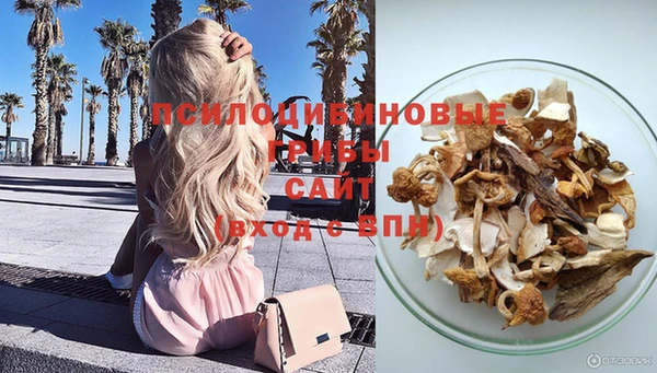 apvp Гусиноозёрск