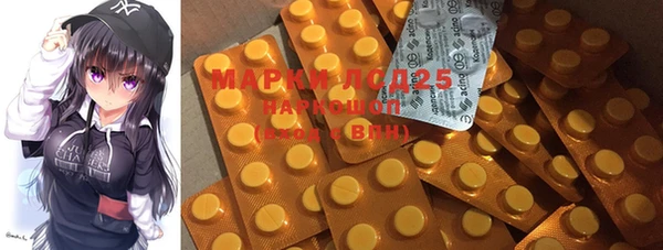 apvp Гусиноозёрск