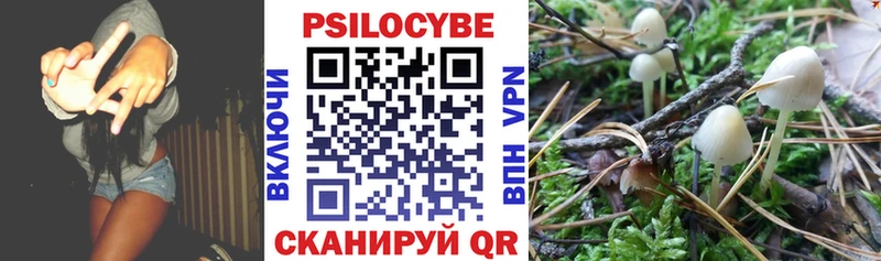 Галлюциногенные грибы Magic Shrooms  цена   Дедовск 